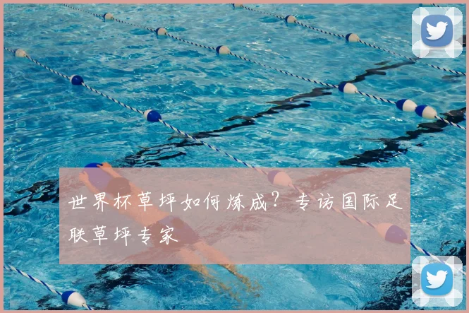 世界杯草坪如何炼成?专访国际足联草坪专家