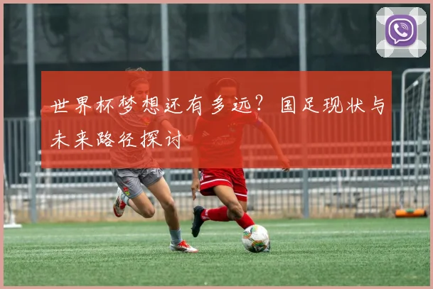 世界杯梦想还有多远?国足现状与未来路径探讨