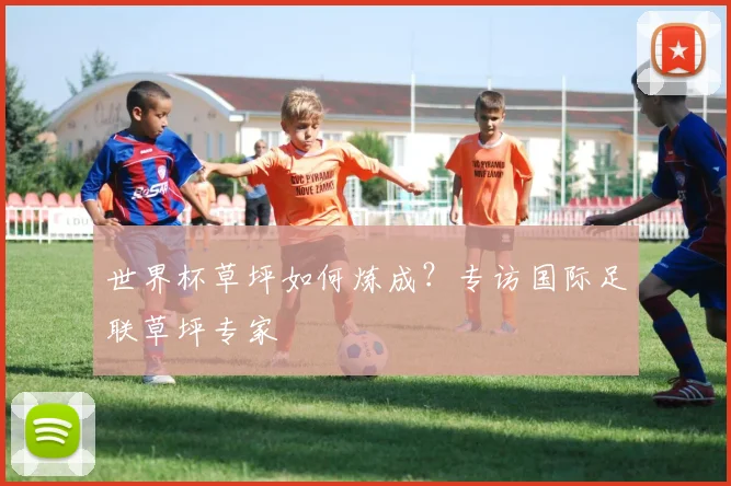 世界杯草坪如何炼成?专访国际足联草坪专家