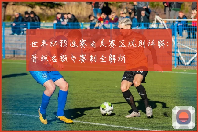 世界杯预选赛南美赛区规则详解:晋级名额与赛制全解析