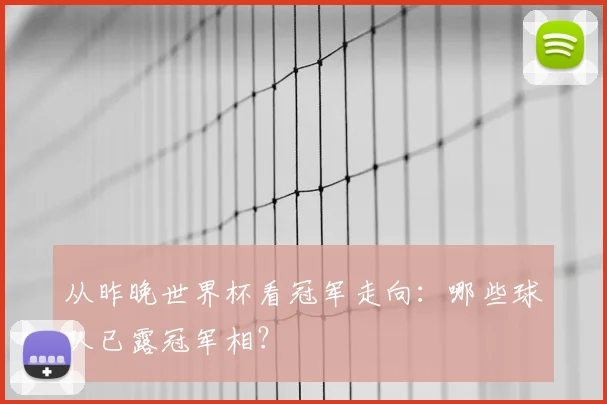 从昨晚世界杯看冠军走向:哪些球队已露冠军相?