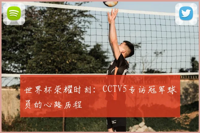 世界杯荣耀时刻:CCTV5专访冠军球员的心路历程