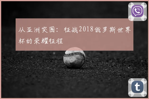从亚洲突围:征战2018俄罗斯世界杯的荣耀征程