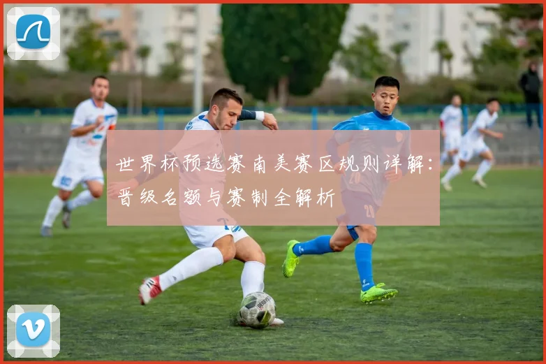 世界杯预选赛南美赛区规则详解:晋级名额与赛制全解析