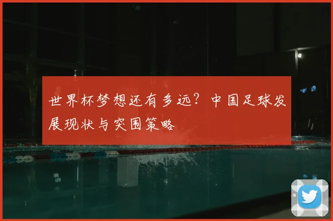 世界杯梦想还有多远?中国足球发展现状与突围策略