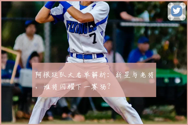 阿根廷队大名单解析：新星与老将，谁将闪耀下一赛场？