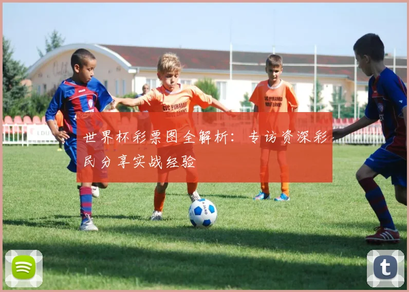 世界杯彩票图全解析：专访资深彩民分享实战经验